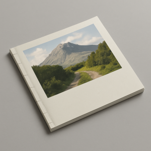 Catálogo Cosido Hilo